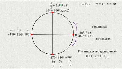 PPT - Графики и свойства тригонометрических функций синуса и косинуса  PowerPoint Presentation - ID:7418693
