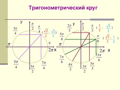Тригонометрический круг • Купить Тригонометрический круг с доставкой по  Украине • Описание, фото, отзывы, цены