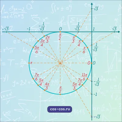 Тригонометрический круг часть 1 | TikTok