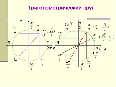 ТРИГОНОМЕТРИЧЕСКИЙ КРУГ | Школа математики / Методика | Дзен