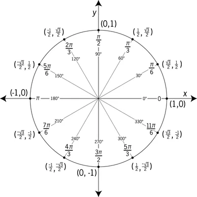 Тригонометрия за 5 минут! Тригонометрические функции и тригонометрический  круг простыми словами | Клуб любителей математики - Matematika.Club