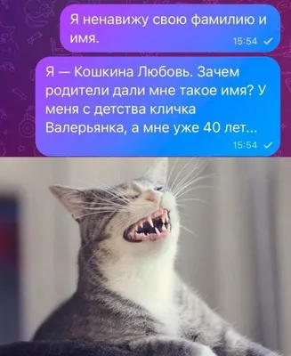 https://trinixy.ru/246253-luchshie-kartinki-i-risunki-iz-seti-09022024.html