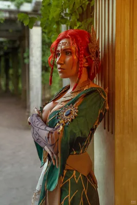 Трисс Меригольд (Triss Merigold) :: Witcher Персонажи :: The Witcher  (Ведьмак, Witcher) :: ST3DOOM :: фэндомы / картинки, гифки, прикольные  комиксы, интересные статьи по теме.