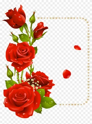 Tenderness | Flower phone wallpaper, Beautiful flowers pictures, Rose  flower wallpaper