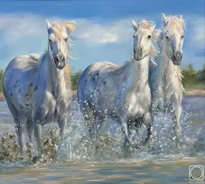 Российская тройка лошадей стоковое фото. изображение насчитывающей сани -  174546710