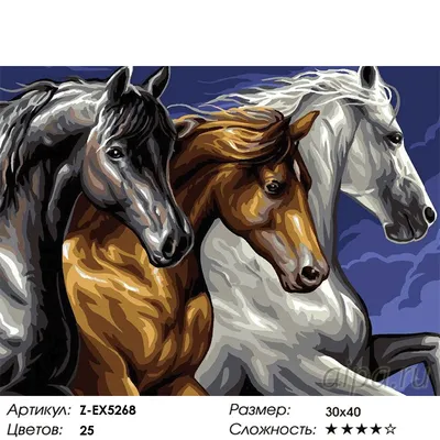 Z-EX5268 Резвая тройка лошадей Раскраска картина по номерам на холсте  Цветной недорого купить в интернет магазине в Москве и СПб, цена, отзывы,  фото
