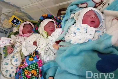 Тройняшки родились в Кашкадарье — их назвали в честь дочерей и жены  президента