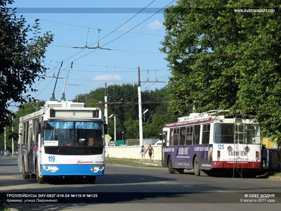 Как у «львят»: на улицы Тулы вышел троллейбус с новым дизайном - Новости  Тулы и области - MySlo.ru