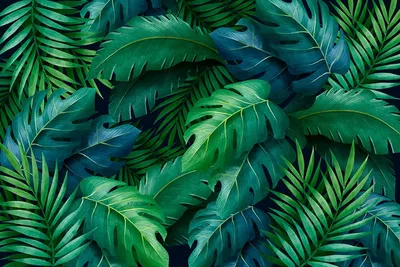 Фотообои Тропические листья купить на стену • Эко Обои