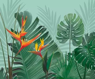 тропические листья на белом фоне минимальный концепт с местом для текста  Стоковое Фото - изображение насчитывающей цвет, экзотическо: 221749800