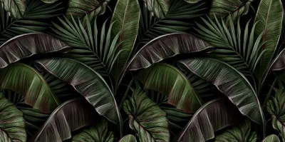 Фотообои Насыщенные зелёные тропические листья артикул Tr-043 купить в  Оренбург|;|9 | интернет-магазин ArtFresco