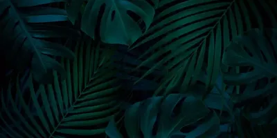 Тропические листья-2. Обои на заказ - печать бесшовных дизайнерских обоев  для стен по своему рисунку