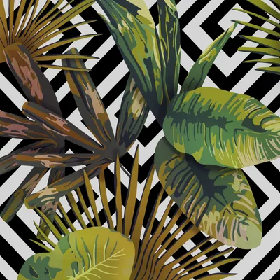 Листья тропических растений PNG , тропический, растение, Листья PNG рисунок  для бесплатной загрузки
