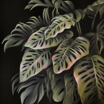Тропические листья на деревянном фоне :: Стоковая фотография :: Pixel-Shot  Studio