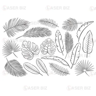 Тропические листья. Обои на заказ - печать бесшовных дизайнерских обоев для  стен по своему рисунку