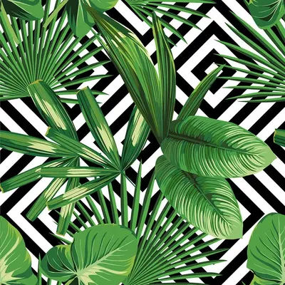 Различные тропические листья Стоковое Фото - изображение насчитывающей  карибско, плоско: 101784656