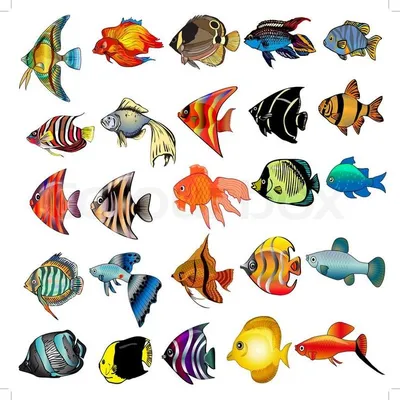 тропические рыбки эскизы: 7 тыс изображений найдено в Яндекс.Картинках |  Расписная рыба, Рыбные иллюстрации, Иллюстратор