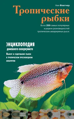 Картина Picsis Тропические рыбки, 660x430x40 мм 929-10459053 - выгодная  цена, отзывы, характеристики, фото - купить в Москве и РФ