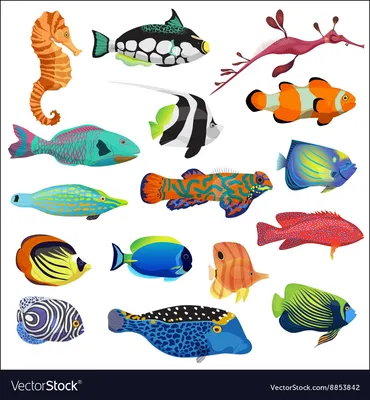 Тропические рыбы - трехчастные карточки Монтессори купить и скачать