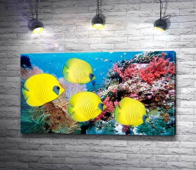 Аквариумные тропические рыбы. И. Петровицкий. 1984. Aquarium tropical fish  (46p) | eBay