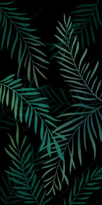 Летние тропические листья обои мобильного телефона Фон Обои Изображение для  бесплатной загрузки - Pngtree