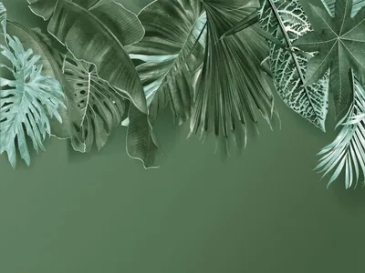 Тропические листья и фон с кругами фотообои на заказ Кишинев | Обои на  заказ любых размеров за один день, Кишинев, Молдова