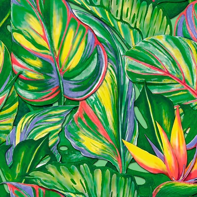 Картинки тропики, пальмы, море - обои 1920x1080, картинка №458843