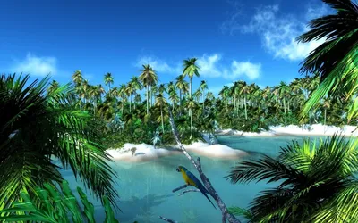 тропики фон с парусными лодками экзотические острова пальмы силуэты океан  море волны текстура Иллюстрация вектора - иллюстрации насчитывающей  карибско, джунгли: 224060339