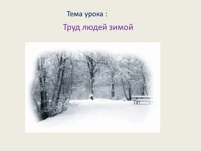Труд людей зимой картинки - 77 фото