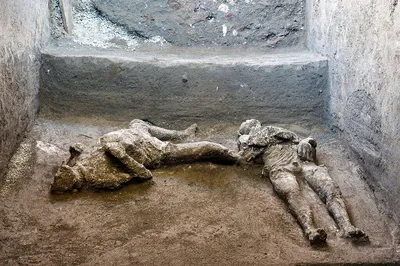 В Буче нашли «братскую могилу», где похоронены почти 300 человек, на улицах  десятки трупов — НикВести — Новости Николаева