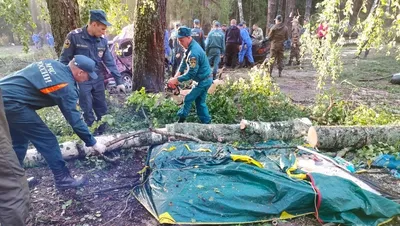 Бесчеловечная жестокость: на Николаевщине нашли фрагменты тел людей,  замученных оккупантами
