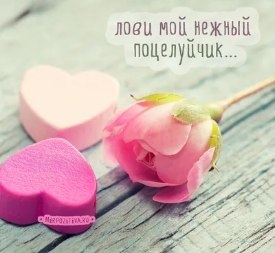 Целую тебя, обнимаю и поздравляю - Скачайте на Davno.ru
