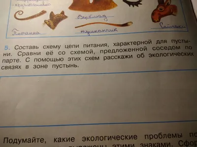 Помогите подалуйста, нужно составить цепь питания хороктерной для пустыни.  - Школьные Знания.com