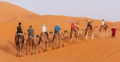 Пустыня Сахара \"Оазис Тассили\" 8 дней в Алжире - My K-Trip