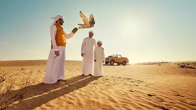 Сделайте свой опыт сафари в пустыне незабываемым с ES Dubai | Блог - ES  Dubai