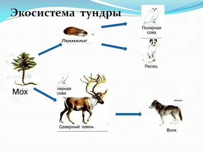 Ремонт цепи питания ноутбука • Компьютерная помощь в Москве