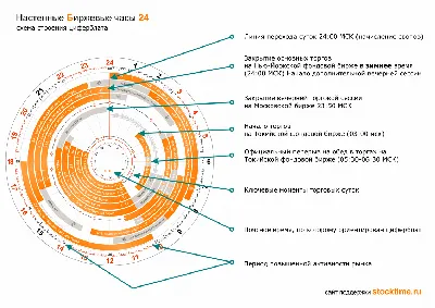 Decimal - десятичные часы – интернет-магазин наручных часов yshio.ru