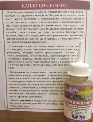 Пересадка цветка Цикламен: уход в домашних условиях после покупки в  магазине Вдохновение - Lechuza.Moscow