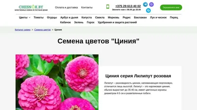 Cumpărați Циния махровая Метеор 0.5 г - оптом la 11 MDL de la producător