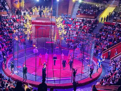 Рижский цирк закончил первый этап реконструкции и ждет зрителей!  #kultura1Kb (ФОТО) / Статья