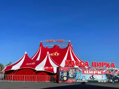 История цирка - официальный сайт