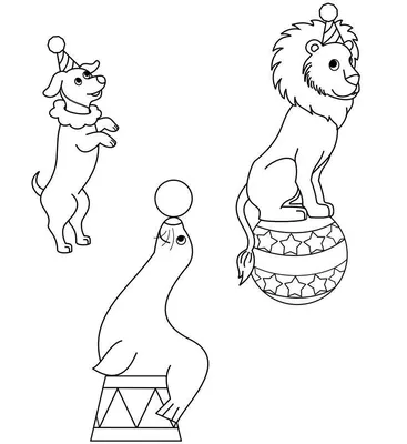 цирк животных иллюстрация вектора. иллюстрации насчитывающей содружественно  - 23538186