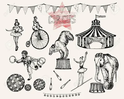 Цирк Рисунок Мультяшный Клоун, Маленький Лев, животные, голова льва, львы  png | Klipartz