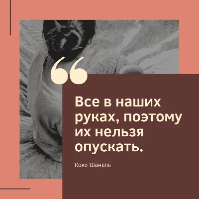 Цитаты известных людей