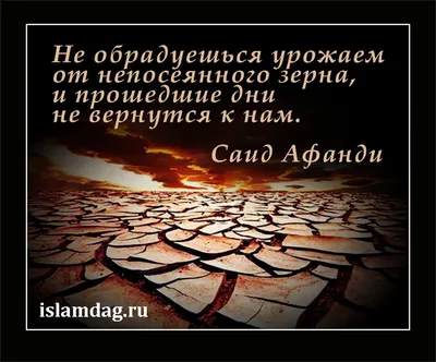 Пин от пользователя Jamilay Aliverdievna на доске Ислам | Мудрые цитаты,  Правдивые цитаты, Вдохновляющие высказывания