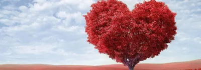 Тихон Задонский цитата: „Любовь должна быть в сердце, а не на языке.“