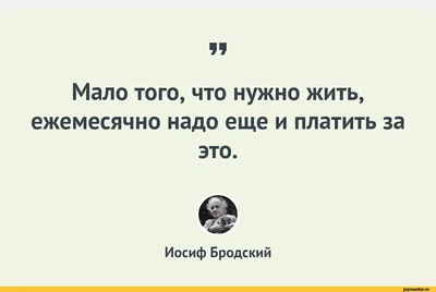 Прикольные статусы на все случаи жизни для социальных сетей: 50+ вариантов