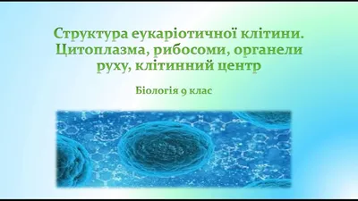 Цитоплазма простой рисунок (49 фото) » Рисунки для срисовки и не только