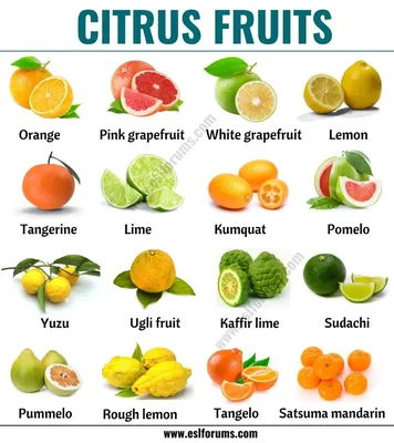 Fruit of the month: Citrus fruits - Harvard Health