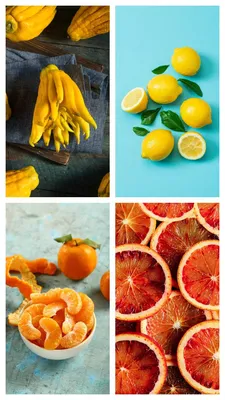 Chef's List of Unusual Citrus Fruits | Citrus Fruits List | First Choice